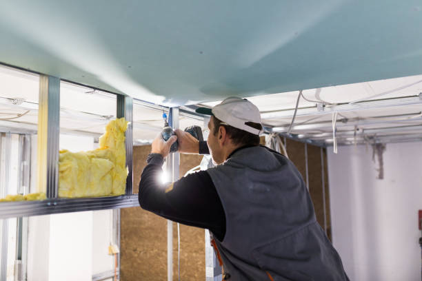 Best Garage Insulation Installation  in Dolan Springs, AZ
