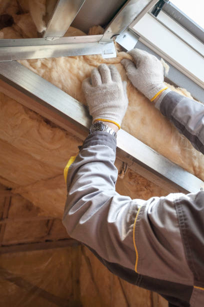 Best Insulation for Commercial Buildings  in Dolan Springs, AZ