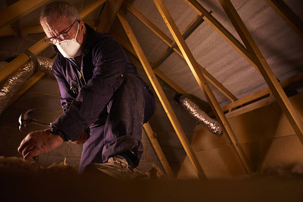 Range of Insulation Solutions in Dolan Springs, AZ