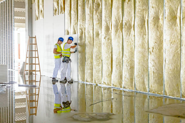 Best Commercial Insulation Contractor  in Dolan Springs, AZ